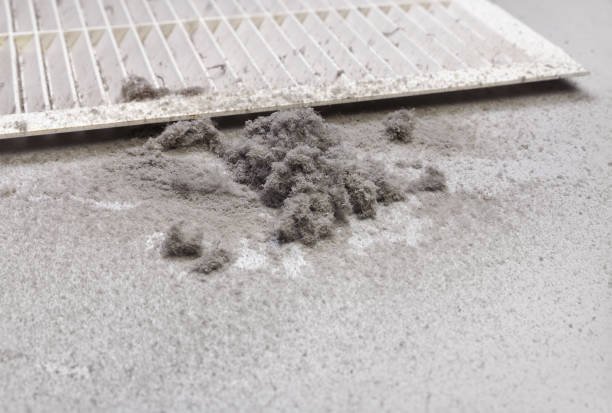 Best Professional Duct Cleaning Services  in Junction City, KY