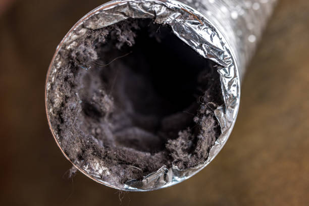 Best Local Air Duct Cleaning Services  in Junction City, KY