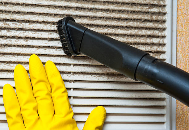 Best Air Duct Cleaning Near Me  in Junction City, KY